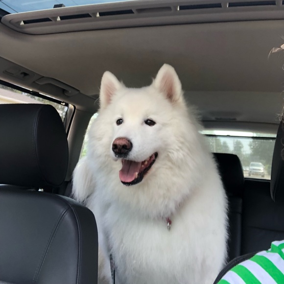 Meet your Posher, Christine - Picture 2 of 2